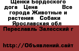 Щенки Бордоского дога › Цена ­ 60 000 - Все города Животные и растения » Собаки   . Ярославская обл.,Переславль-Залесский г.